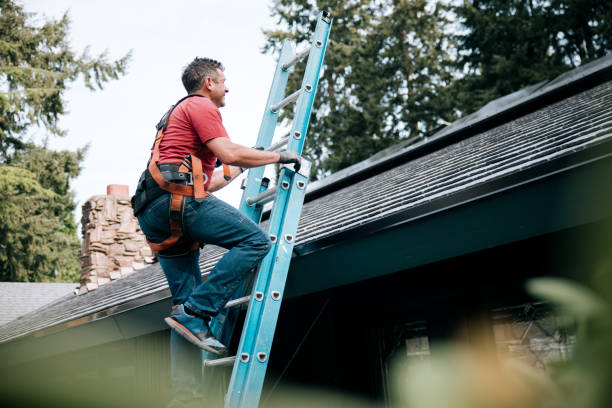 Fast & Reliable Emergency Roof Repairs in Greenwood, DE